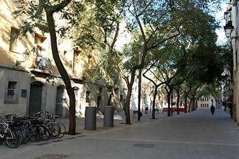 Apartamentos Born Picasso1