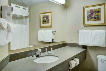 Travelodge Hotel Downtown Windsor3