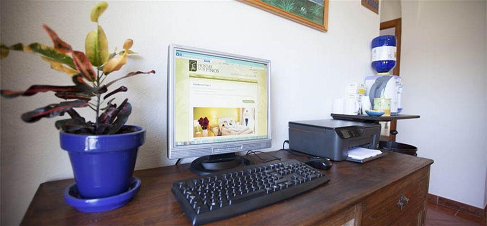 Hostal Los Pinos3