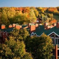 Manoir Saintsauveur4