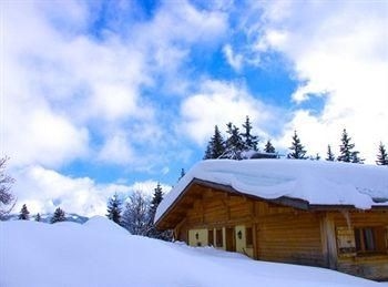 Chalet Alvine2