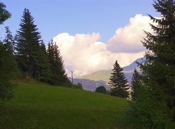 Chalet Alvine0