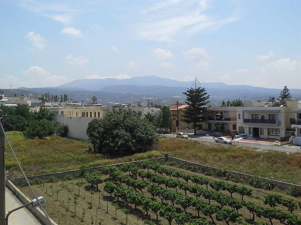Amaril2