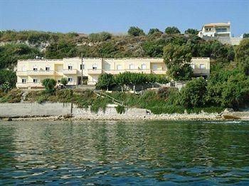 Asterina4