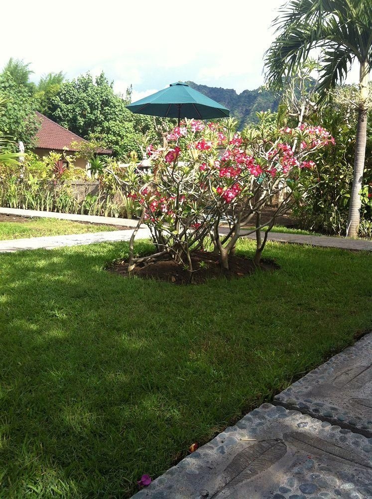 Man's Homestay4