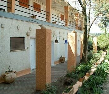 The Safed Inn4
