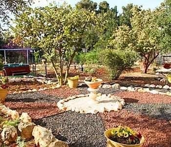 The Safed Inn0