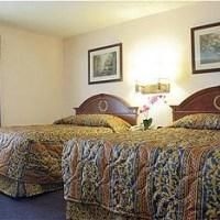 Greenwood Suites Anaheim Resort2