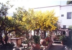 Hotel La Certosella2