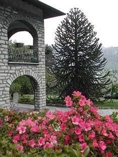 Villa Niccolo Apartments1