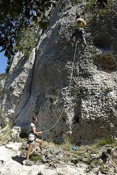 Savoia4
