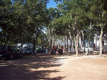 Villaggio Camping Bosco Selva3