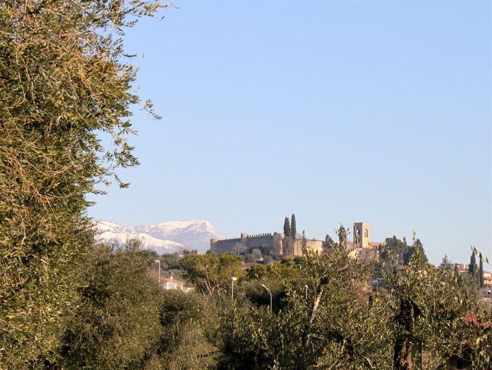 Piantelle Camping1