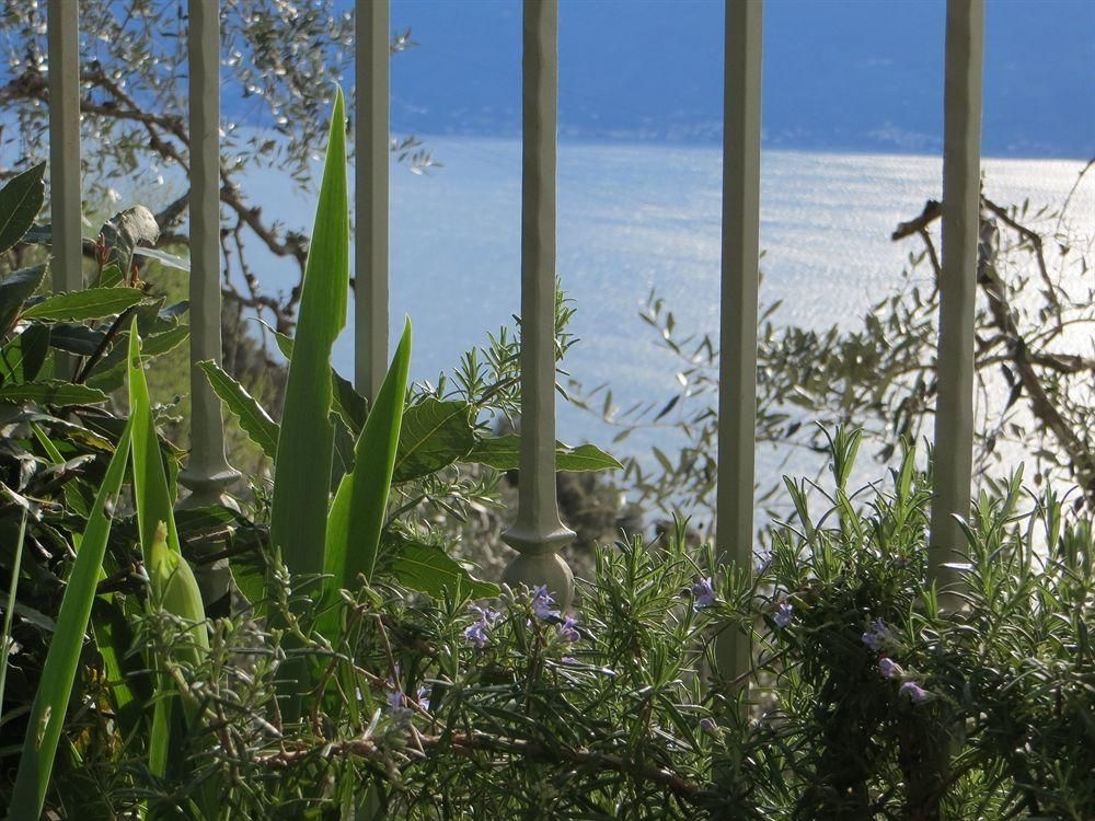 Villa Muslone4