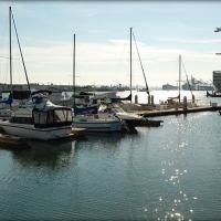 The Inn At Jack London Square4