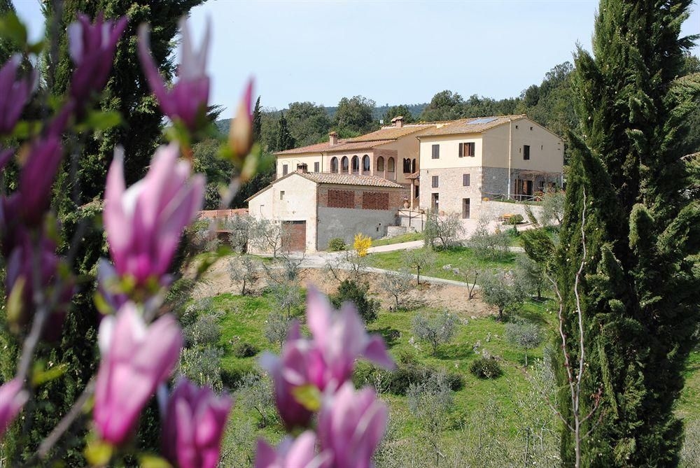 Fattoria Voltrona2