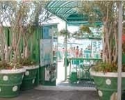 Hotel Flora Alassio3