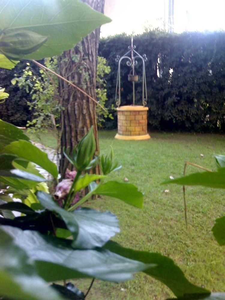 Hotel Airone1