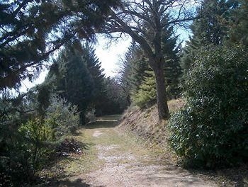 Borgo San Fortunato1