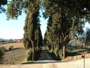 Villa Cambi0