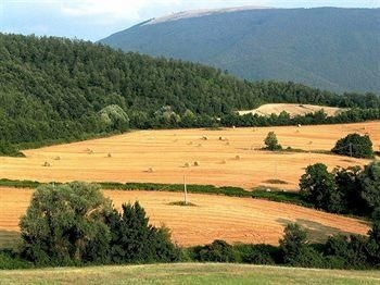 Alla Madonna Del Piatto4
