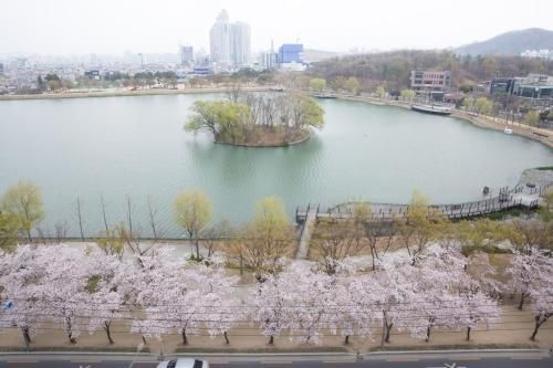โรงแรม ซูซุง (Hotel Susung)2