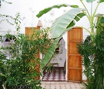Riad Johana2