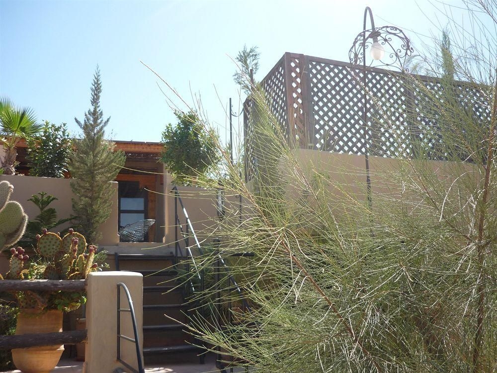 Riad Maia4