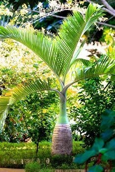 Nosy Be Hotel Concept Boutique Hotel & Spa4