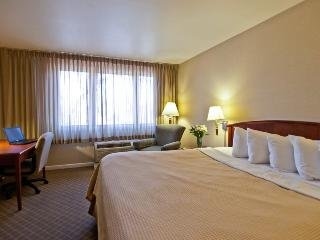 Best Western University Inn4