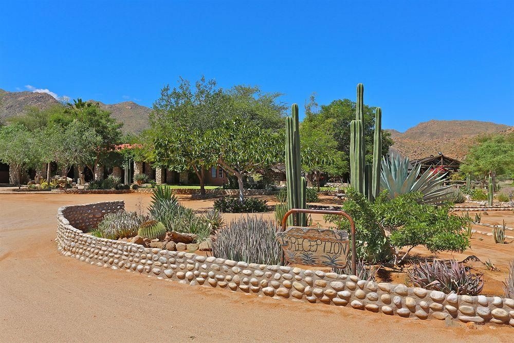 Solitaire Guest Farm2