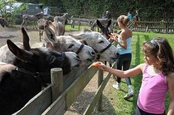 Golden Tulip L Escaut2