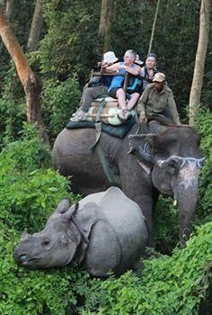 Rhino Lodge & Hotel4