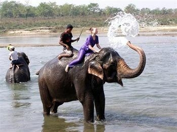 Chitwan Forest Resort1