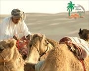 Desert Palm Oman3