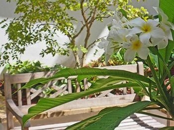 Hotel La Playa4