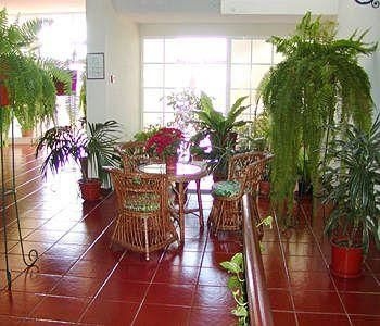Vila Marta4