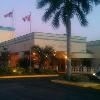 Universal Palms1