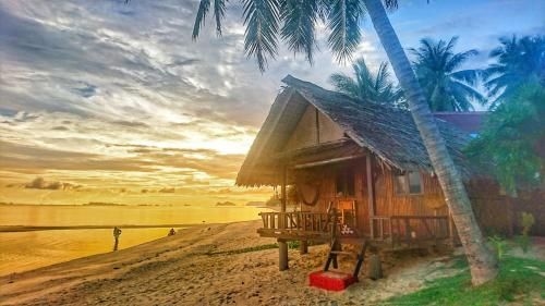 มันชีส์ รีสอร์ต (Munchies Resort)1