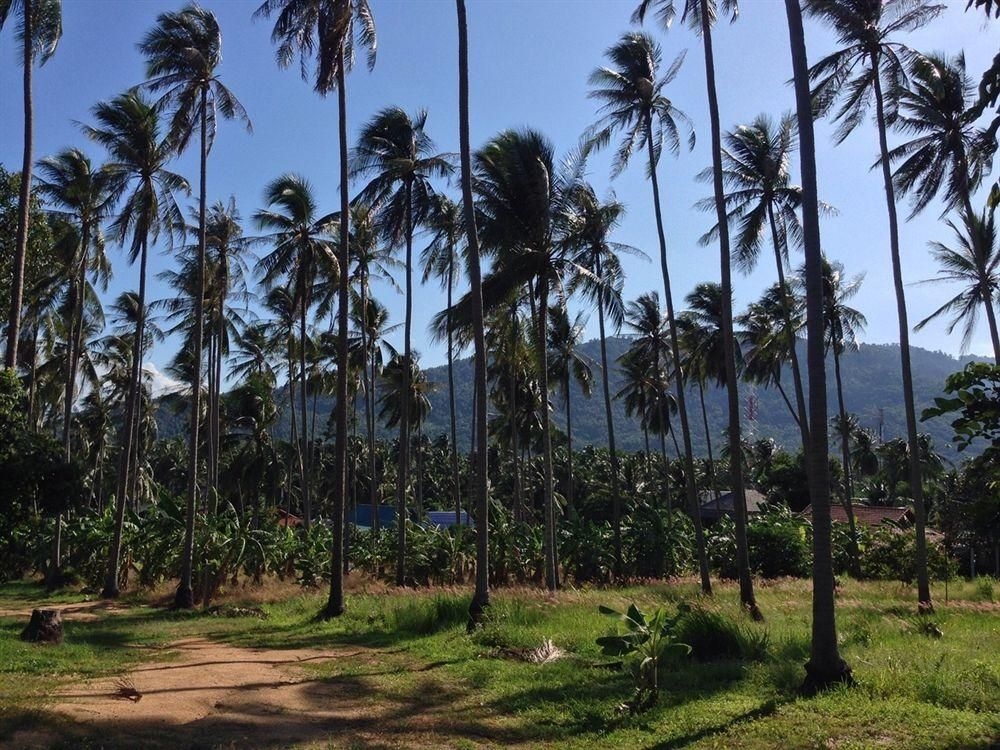 Baan Punsuk Samui1