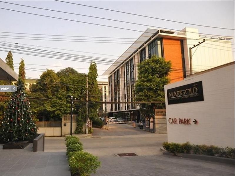 มาริโกลด์ รามคำแหง (Marigold Ramkhamhaeng)0