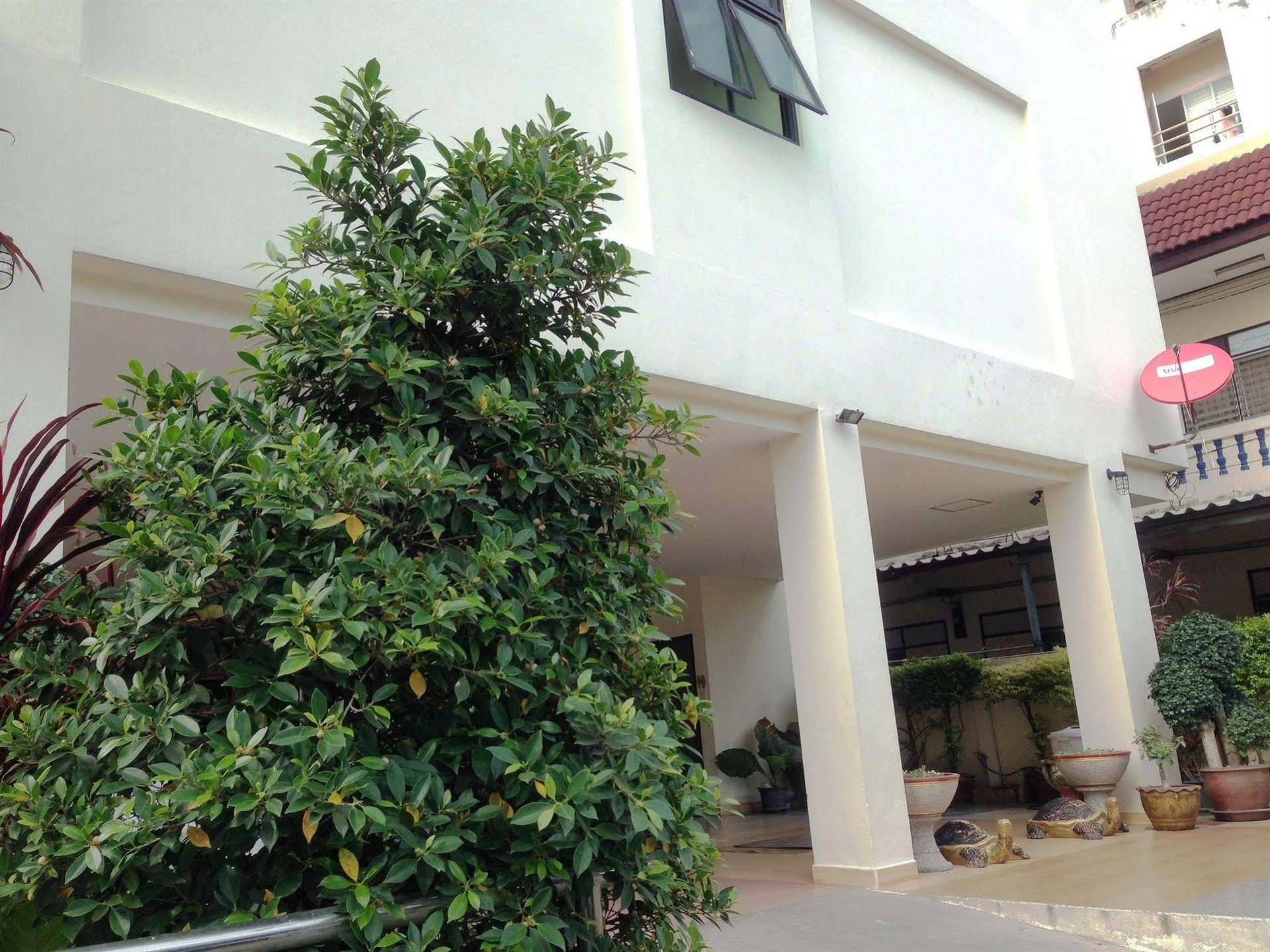 เมเปิล แมนชั่น (Maple Mansion)1