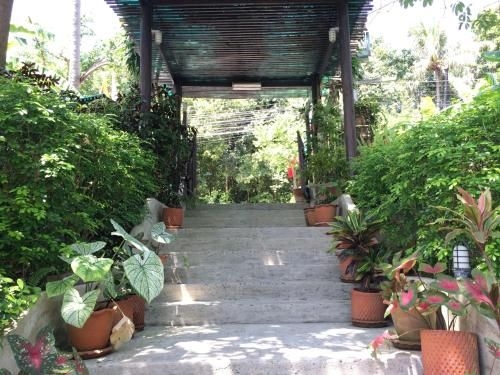 ซันเซ็ท โคฟ รีสอร์ท (Sunset Cove Resort)4