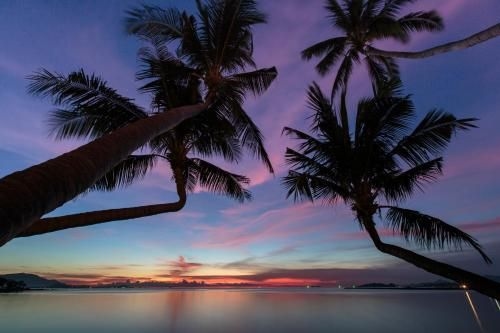 เดอะ บีช เฮาส์ (The Beach House)0
