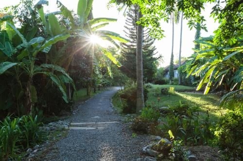 เดอะ บีช เฮาส์ (The Beach House)2