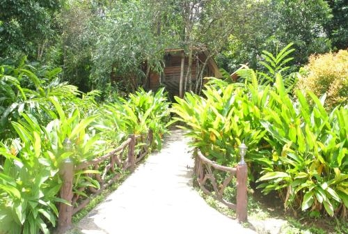 Khao Sok Rain Forest Resort3