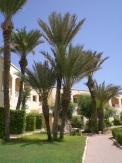 Zephir Hotel and Spa3