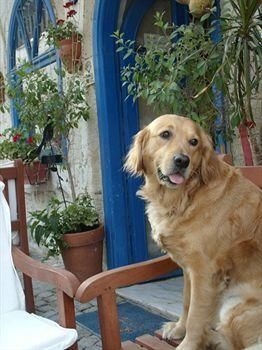 Alacati Nuans Hotel- Guest House2