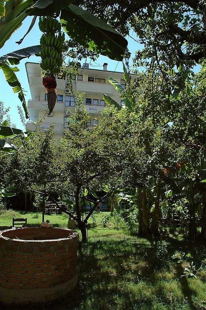Kardelen Apart Otel - Campground1