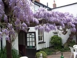The Thorverton Arms2
